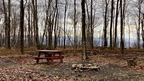 Tent Site — image 1 of 3