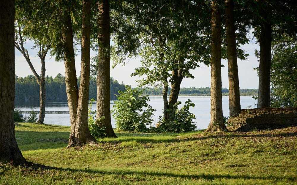 Park Image 7