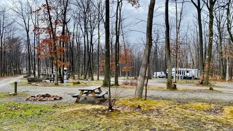 Premium Pull-Through RV Site — image 1 of 3