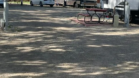 50 amp Back-In RV Site — image 1 of 4