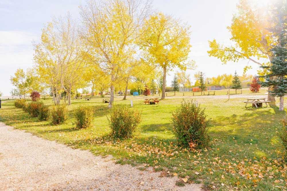 Park Image 7