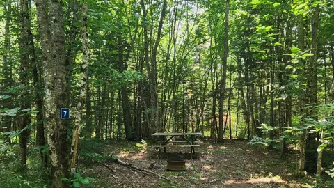 Wood Road Wilderness Tenting — image 2 of 2