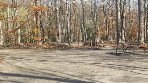 RV- W/E, Pull Through, Wooded — image 1 of 1