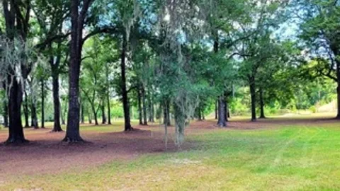 30/50 Amp RV Site — image 2 of 4