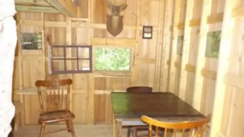 Tree House — image 2 of 6