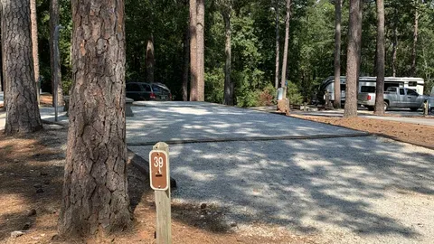 30 AMP Savannah River Interior Campsite — image 14 of 14