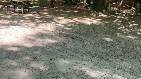 RV- W/E, Wooded — image 6 of 6
