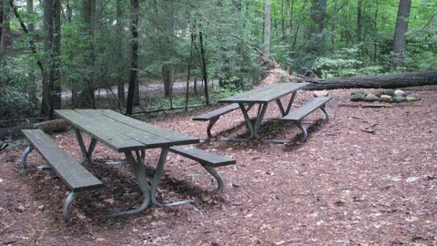 Camp WaBak Pathfinder — image 4 of 4