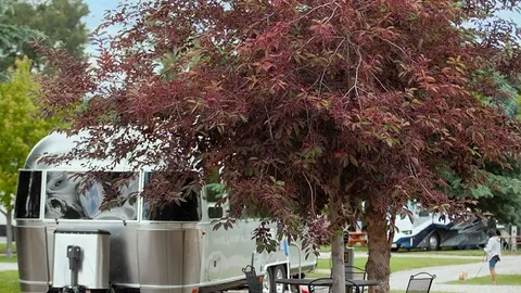 Premium Pull-Through RV — image 1 of 7