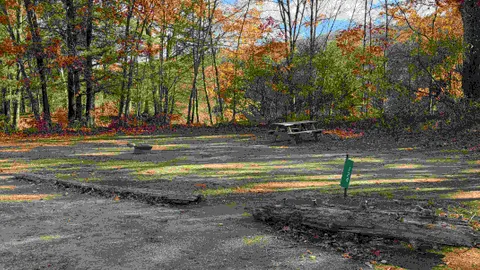 Riverfront Tent Site - 15 Person Maximum — image 4 of 4