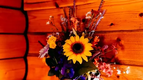 Rustic 2-Room Cabin — image 7 of 7