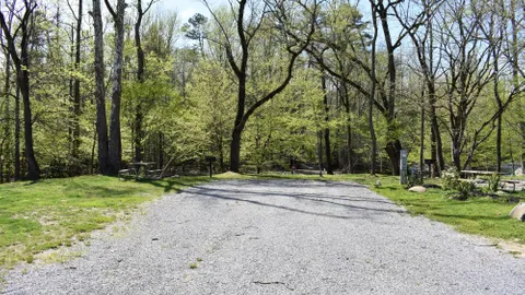 Super Premium On River Full Hookup RV Site — image 2 of 12