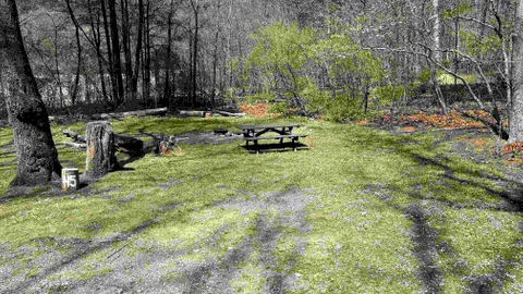 Forest Tent Site - 10 Person Maximum — image 15 of 15