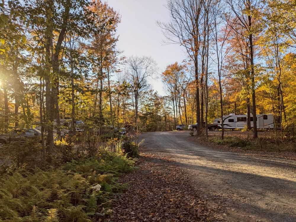 Park Image 8