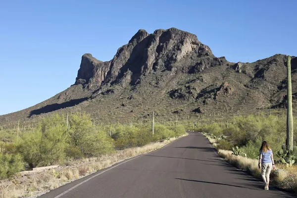 Spanish Trails West, Casa Grande, Arizona (Age Restricted 55+) – photo 1