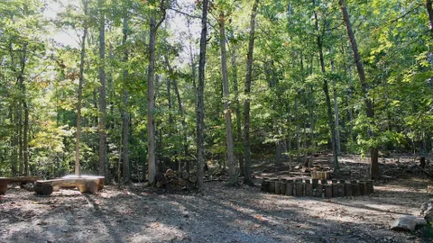 Scout Hill — image 2 of 6