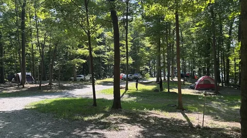 NON-ELECTRIC — image 1 of 3