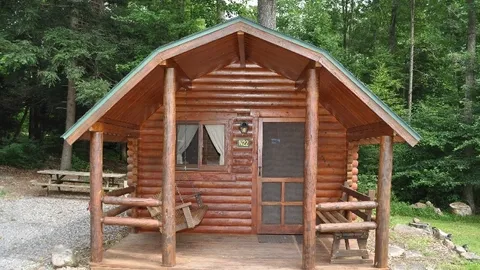 1 Room Primitive Cabin — image 1 of 3