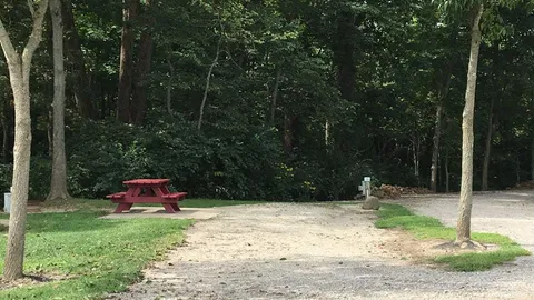 30 amp Standard RV Site - Back In — image 2 of 3