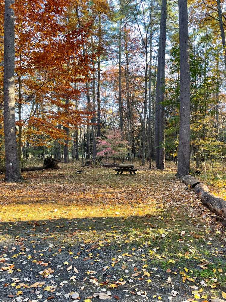 Dingmans Campground, Dingmans Ferry, Pennsylvania - Photo 5