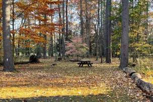 Dingmans Campground – photo 5