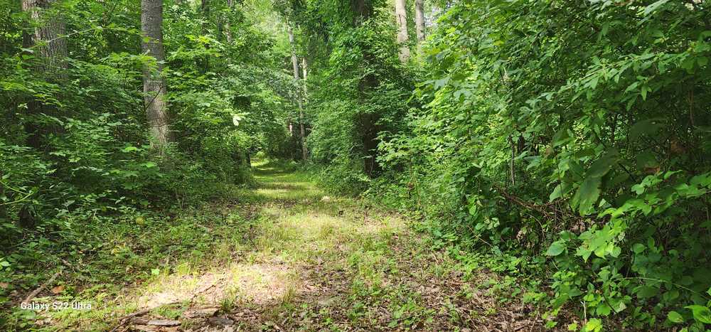 Park Image 10