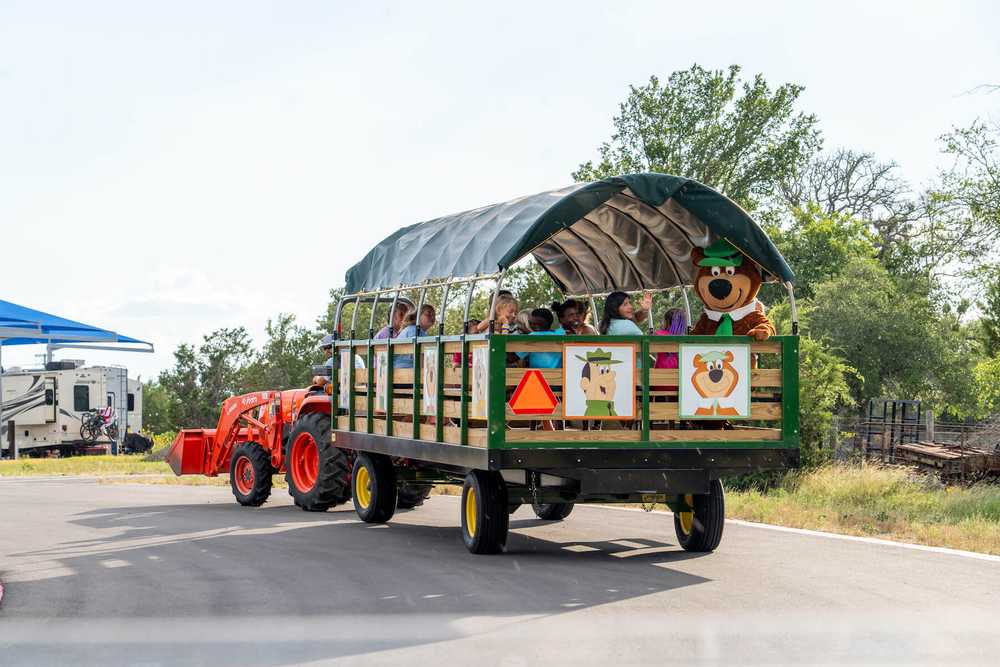 Jellystone Park Austin North - Georgetown, TX - Photo 4