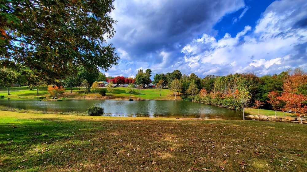 Park Image 3