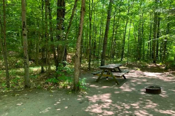 Camp Hillbilly - Daiva RV Resorts – photo 1