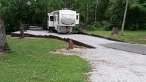 Non-Waterfront RV Site — image 1 of 2