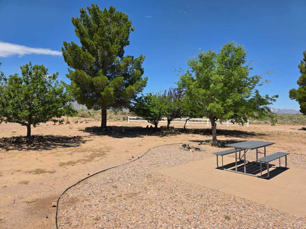 Rusty's RV Ranch, Rodeo, New Mexico - Photo 3