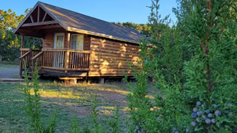 Large Cabin — image 1 of 8