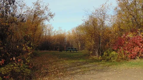 NON POWER SITE - NEAR MINI GOLF — image 2 of 3