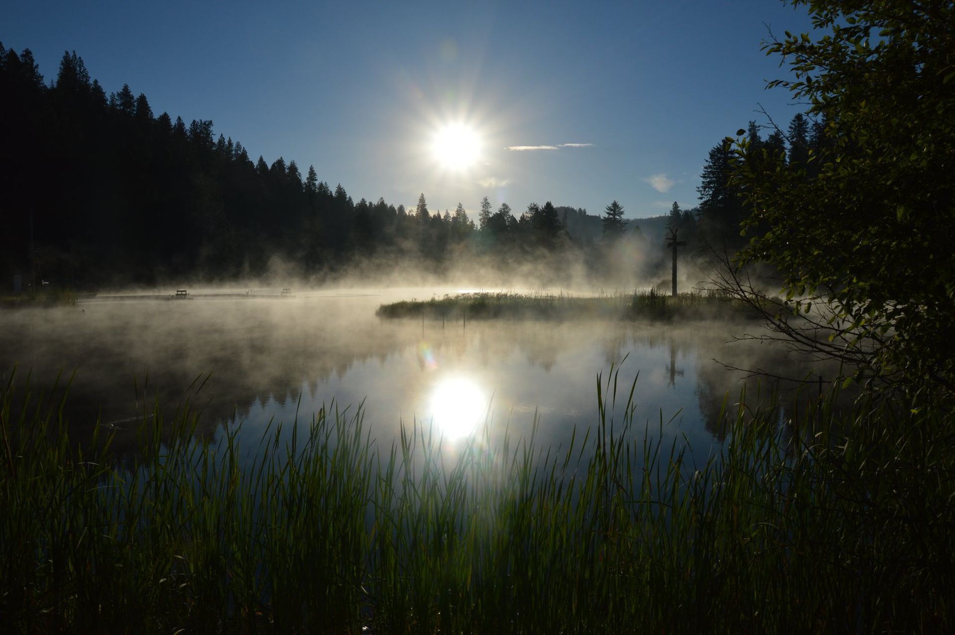 Camp Grizzly, Harvard, Idaho