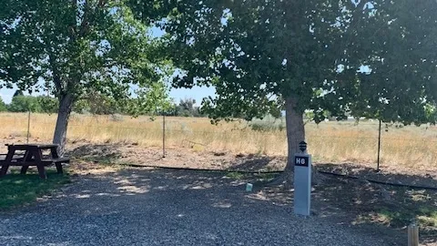 Back-in RV Site (Vans, Motorhomes, Truck campers only - no pop ups/travel trailers) 20/30/50 Amp — image 1 of 3