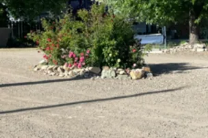 Cozy Comfort RV Park – photo 3