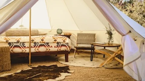Aster Camp — image 1 of 18