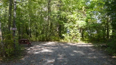 Wooded Tent Site — image 5 of 5