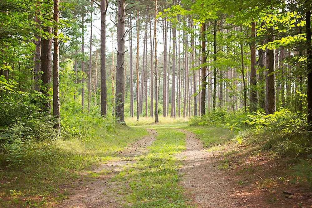 Riverside Park Campground, Evart, Michigan - Photo 3