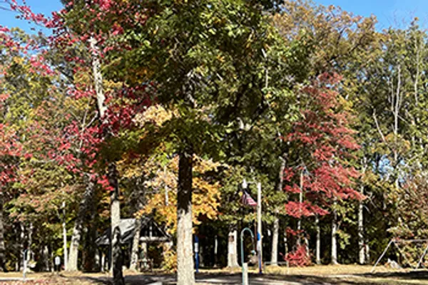 Heart of the Forest RV Park – photo 1