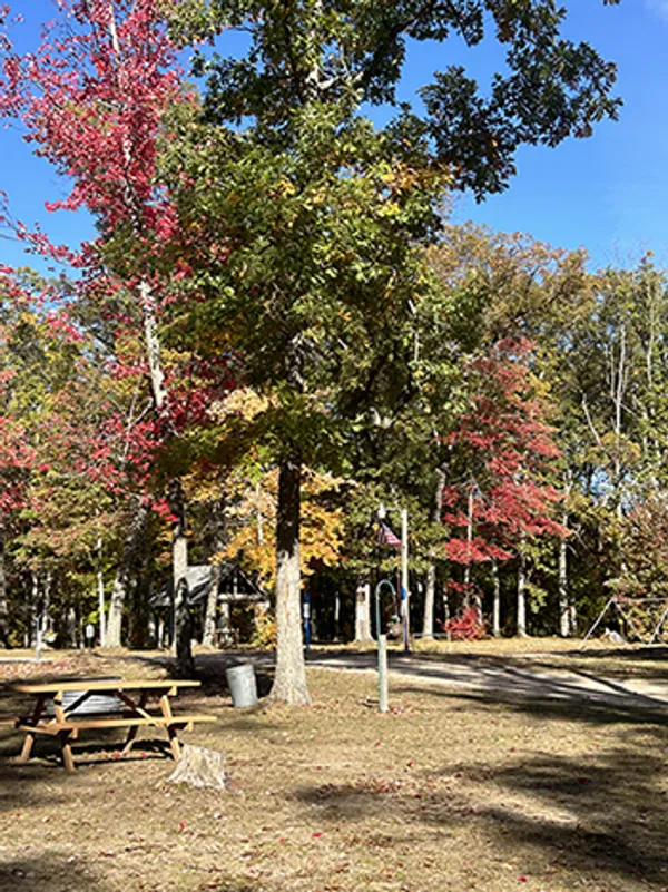 Heart of the Forest RV Park, Wellston, Michigan campground