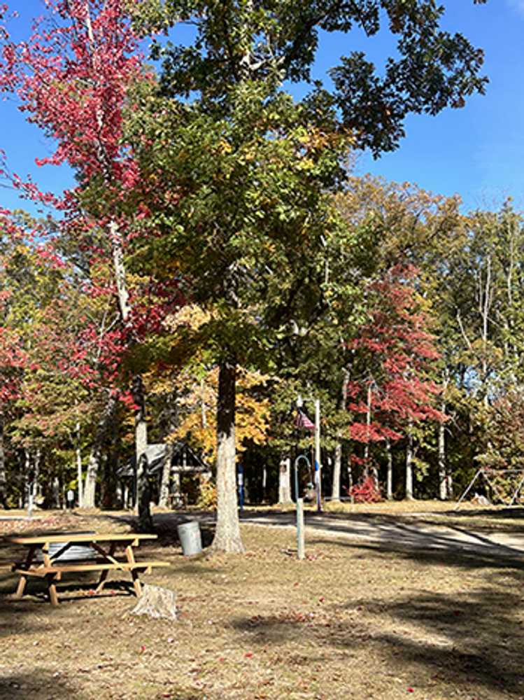 Heart of the Forest RV Park, Wellston, Michigan - Main Photo