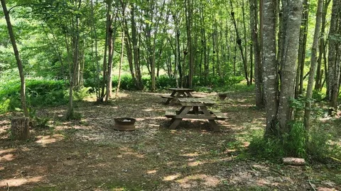 The Glades Wilderness Group Tenting — image 1 of 2