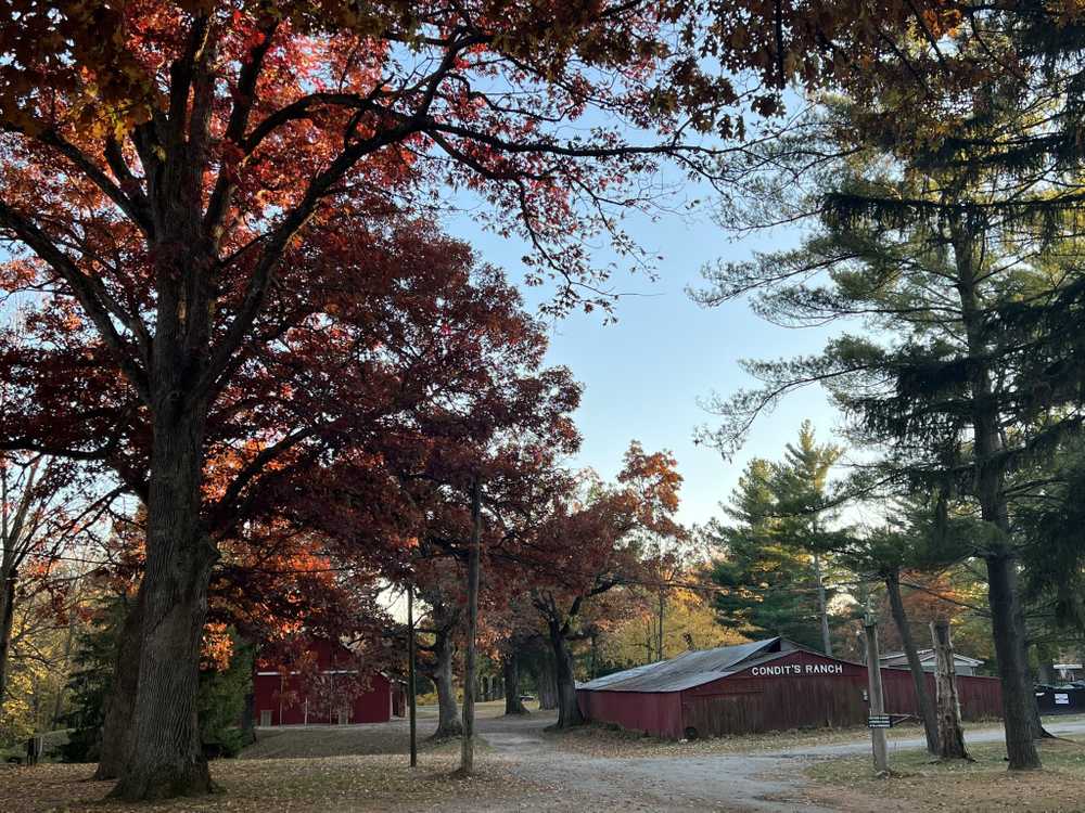 Park Image 11