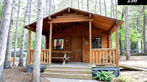 Cabin — image 1 of 5