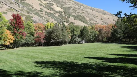 Water + Electric RV/Tent Site — image 9 of 9