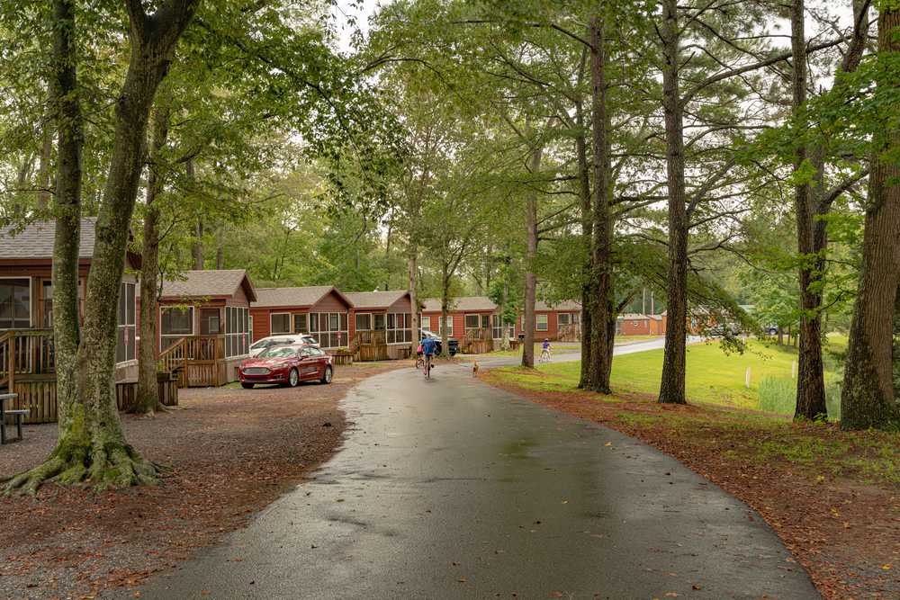 Park Image 12