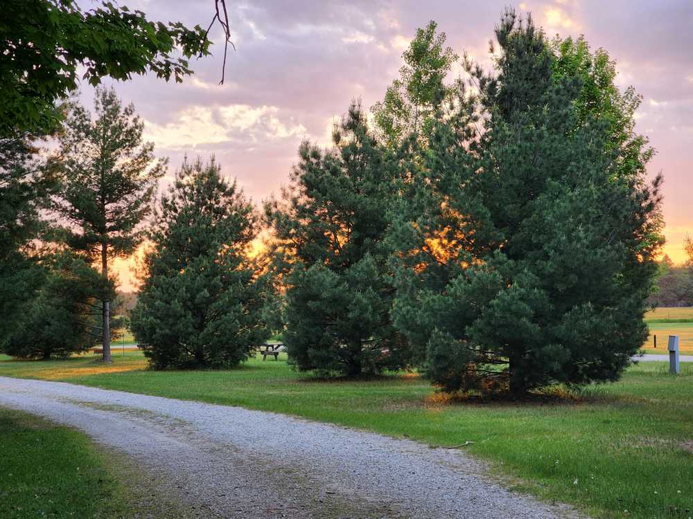 The Campground - Photo 2