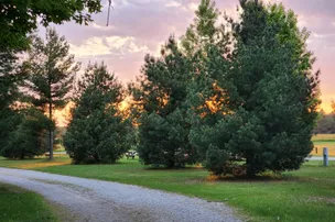 The Campground – photo 2
