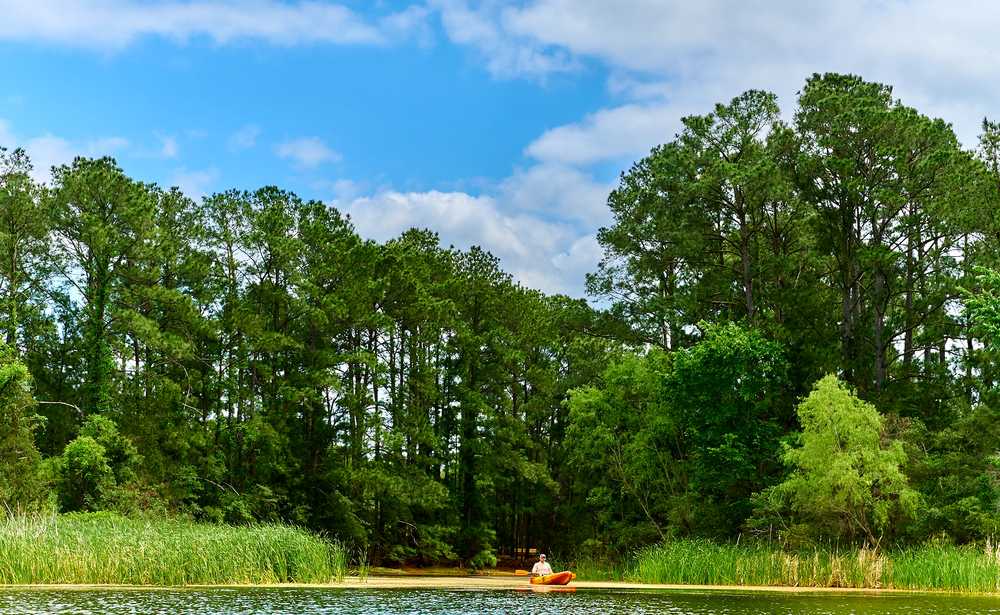 Lake Bastrop North Shore Park, Bastrop, Texas - Photo 4